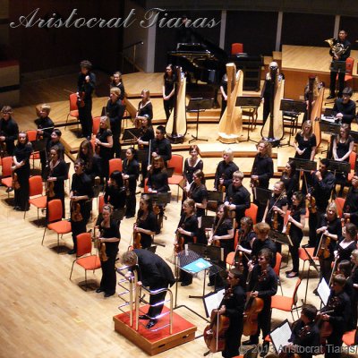 Harpist Glenda Allaway picture 10