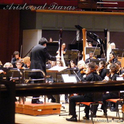 Harpist Glenda Allaway picture 11