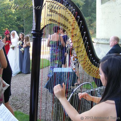 Harpist Glenda Allaway picture 2