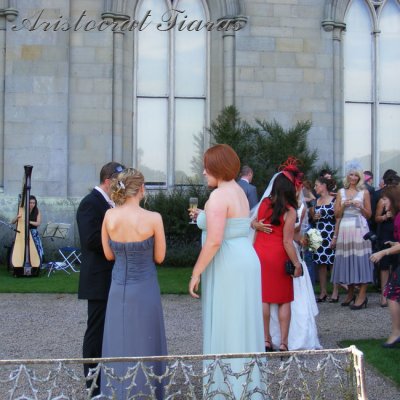 Harpist Glenda Allaway picture 3