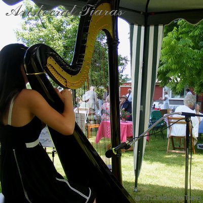 Harpist Glenda Allaway picture 4