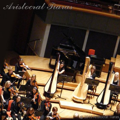 Harpist Glenda Allaway picture 9