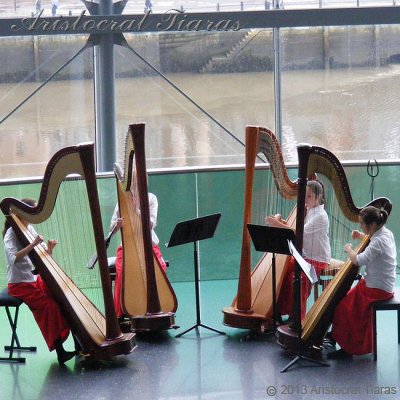 Harpist Hannah Allaway picture 10