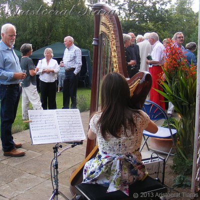 Harpist Hannah Allaway picture 2