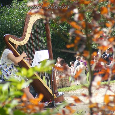 Harpist Hannah Allaway picture 3