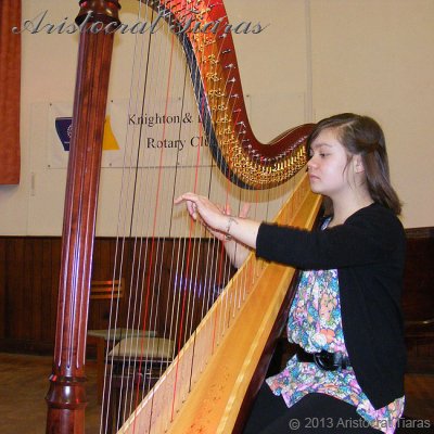 Harpist Hannah Allaway picture 7