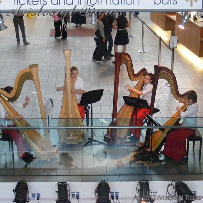 Harpist Hannah Allaway picture 8
