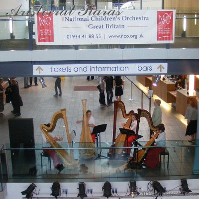 Harpist Hannah Allaway picture 9