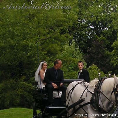 Wedding of Christina and Stephen picture 11
