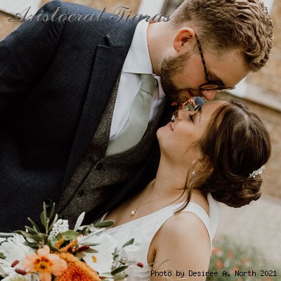 Wedding of Hannah and Matthew picture 5