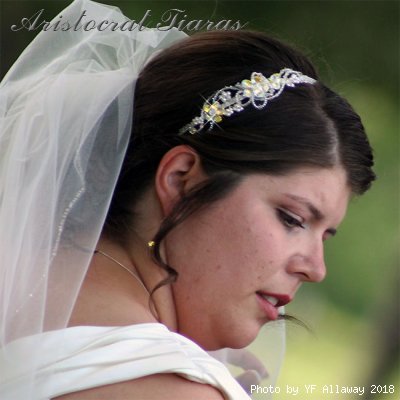 Wedding of Michelle and Ian picture 3